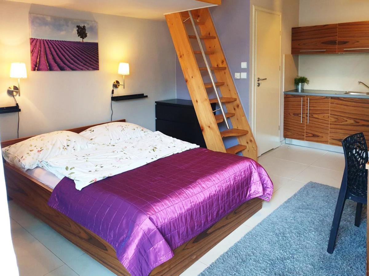 Apartamenty Brzozowa - Centrum Zakopane Eksteriør billede